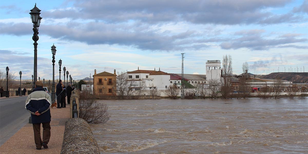 El Ebro, en época de crecida, muy diferente a su aspecto actual