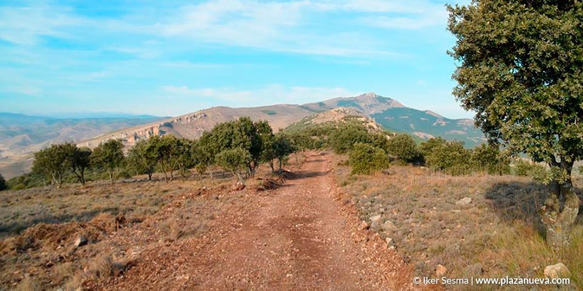 Hasta una treintena de montes de la Rioja Baja contarán con nuevas áreas de cortafuegos