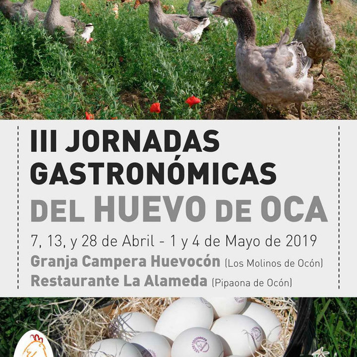 III Jornadas gastronómicas del huevo de oca en Los Molinos de Ocón y Pipaona de Ocón