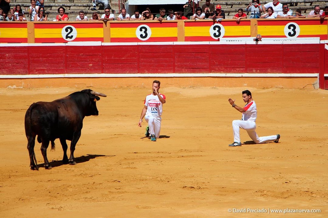 Fiestas de Tudela ’19, día 28 - Concurso de recortadores con toros en punta 4