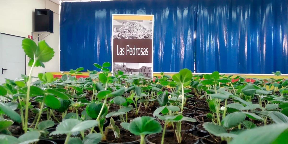 Las Pedrosas ha participado en un proyecto para medir la calidad del aire