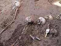 1127290066.jpg