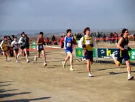 1138788345.jpg