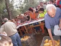 1148463576.jpg