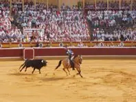 1153301259.jpg