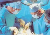1155115392.jpg