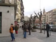 1170836977.jpg