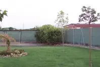 1175586715.jpg