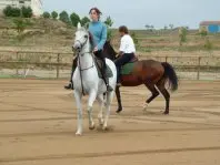1179307695.jpg