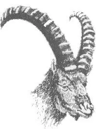 1182324025.jpg