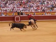 1184259979.jpg