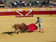 1184257984.jpg