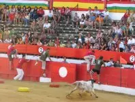 1187075131.jpg