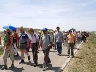 1195634214.jpg