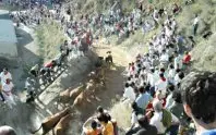 1218617652.jpg