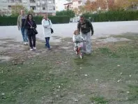 1223478936.jpg