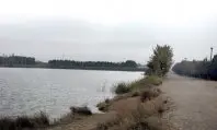 1226478447.jpg