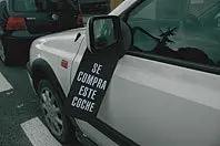 1227643361.jpg