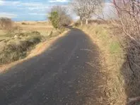 1233131634.jpg