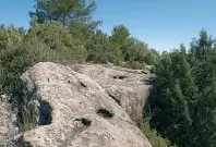 1247644613.jpg