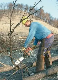 1250666277.jpg