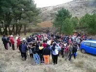 1268212253.jpg