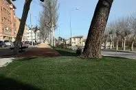 1268813902.jpg