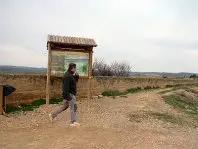 1271230088.jpg