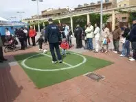 1274255027.jpg