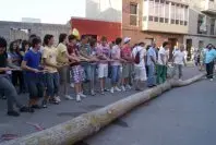 1274860896.jpg