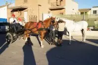 1285142445.jpg