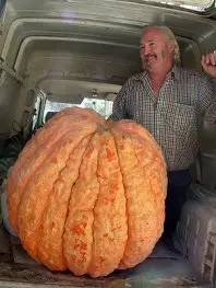 1286350191.jpg