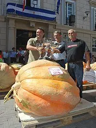 1315983065.jpg