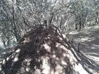 1320220835.jpg