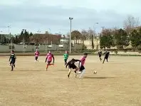 1329899654.jpg