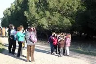 1330504886.jpg