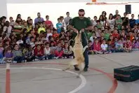 1337151649.jpg