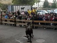 1348646240.jpg
