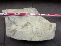 1351064838.jpg