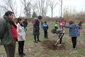 11-Plantación-árboles-Soto-de-los-Colegios-1066-300x200.jpg