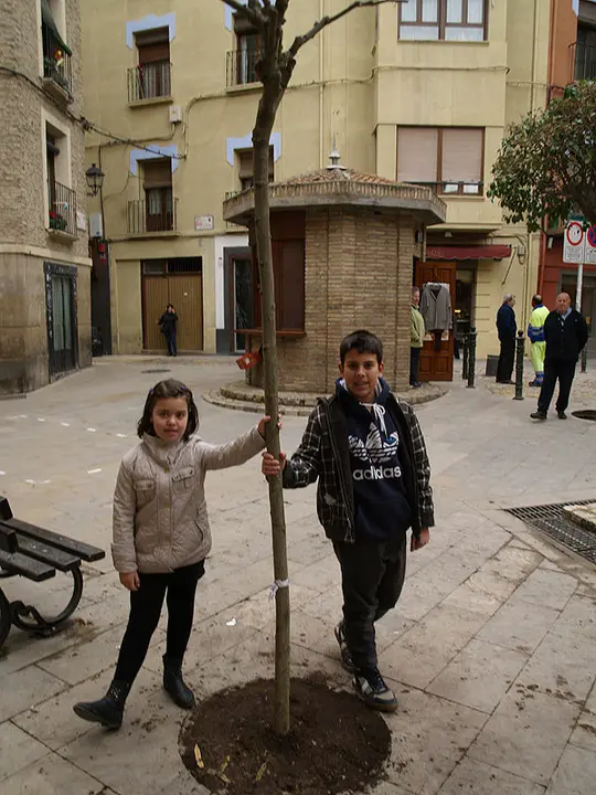 34-Pili-e-Ismael-en-el-d&iacute;a-del-&Aacute;rbol-con-su-abuela-1071.jpg