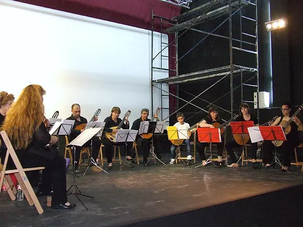 8-Audici&oacute;n-de-instrumentos-de-p&uacute;a-y-cuerda-1081.jpg