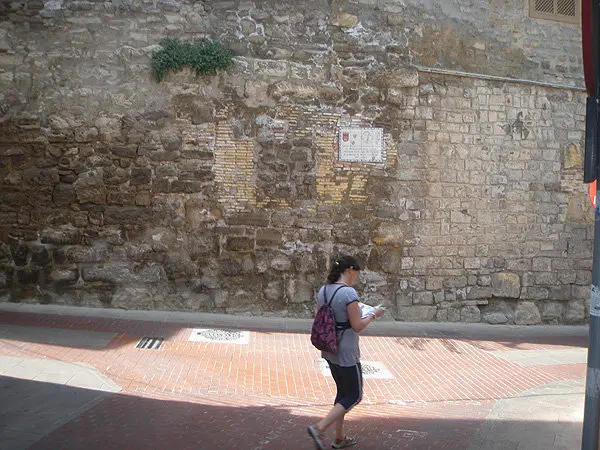 5-Lienzo-de-la-muralla-1093.jpg
