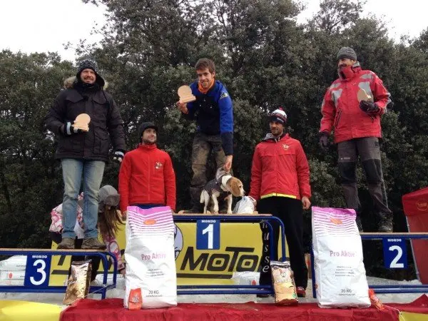 14-Copa-de-Espa&ntilde;a-de-Mushing-&Oacute;lvega.jpg
