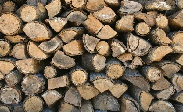 15-Madera-biomasa-1108.jpeg