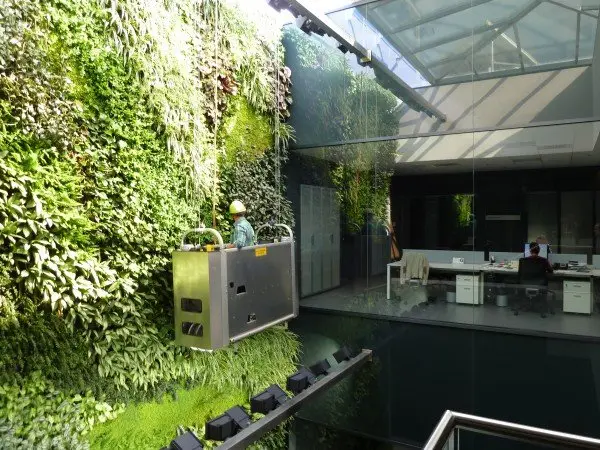 20-Jardines-y-ecosistemas-verticales-1010.jpg