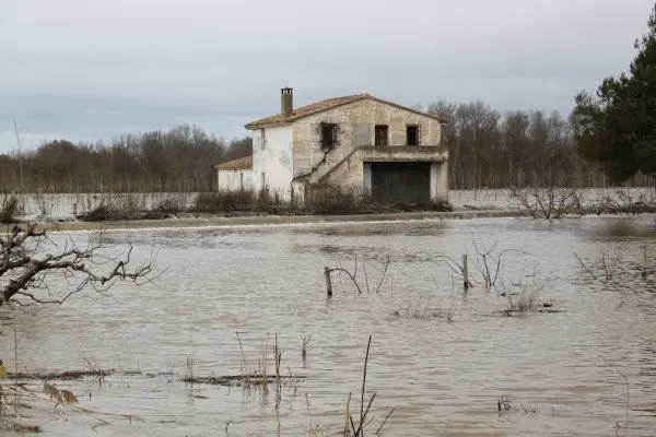 11-Nueva-crecida-del-Ebro-en-Alfaro-1114.jpg