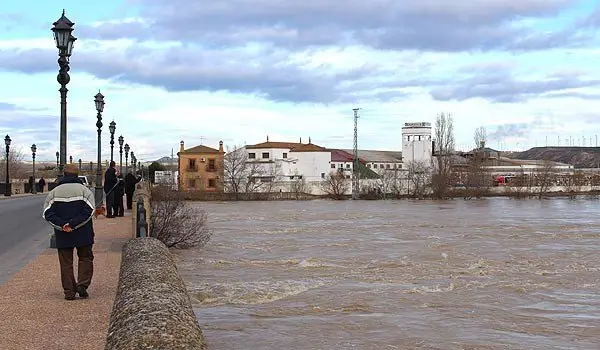 puenteweb.jpg