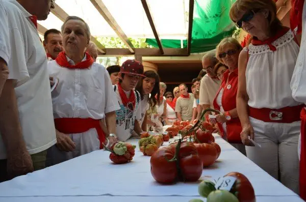 31-Tomate-Feo-2-1132.jpg