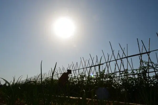Espa&ntilde;a recibir&aacute; 34.000 millones para 2021-2027